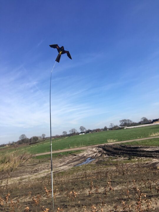 Bird scaring kite 4 meter