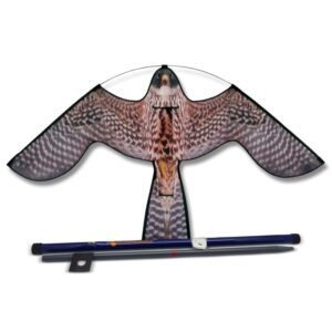 Vogelscheuchen-Drachen Hawk Kite Raubvogel mit Glasfasermast 7 meter